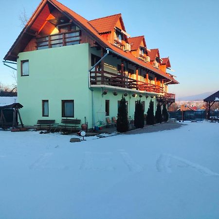 Pensiunea Leia Transfagarasan Cîrţişoara エクステリア 写真