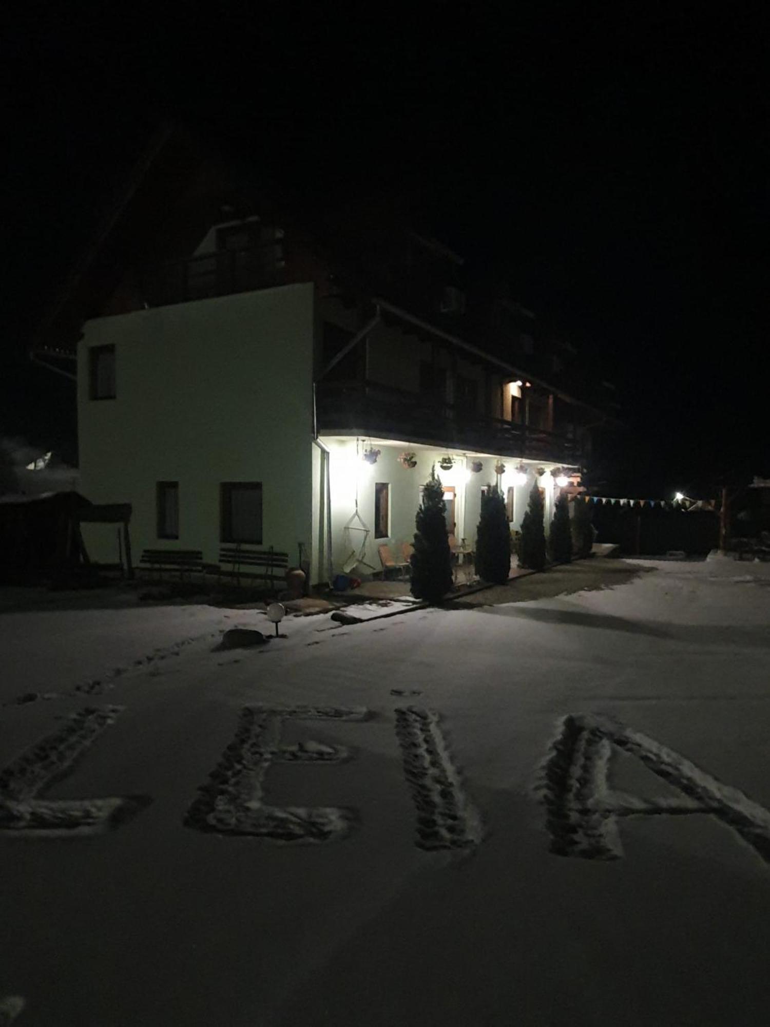 Pensiunea Leia Transfagarasan Cîrţişoara エクステリア 写真